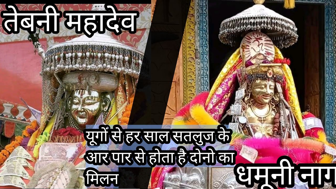 Dev milan tebbani mahadev and  dhamuni nag🚩|| every year 🚩