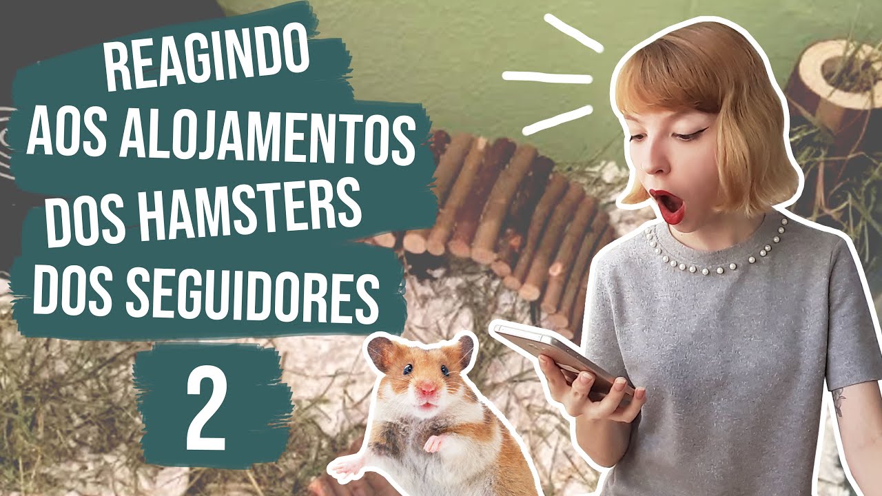🐹 Reagindo aos alojamentos dos hamsters dos seguidores 2