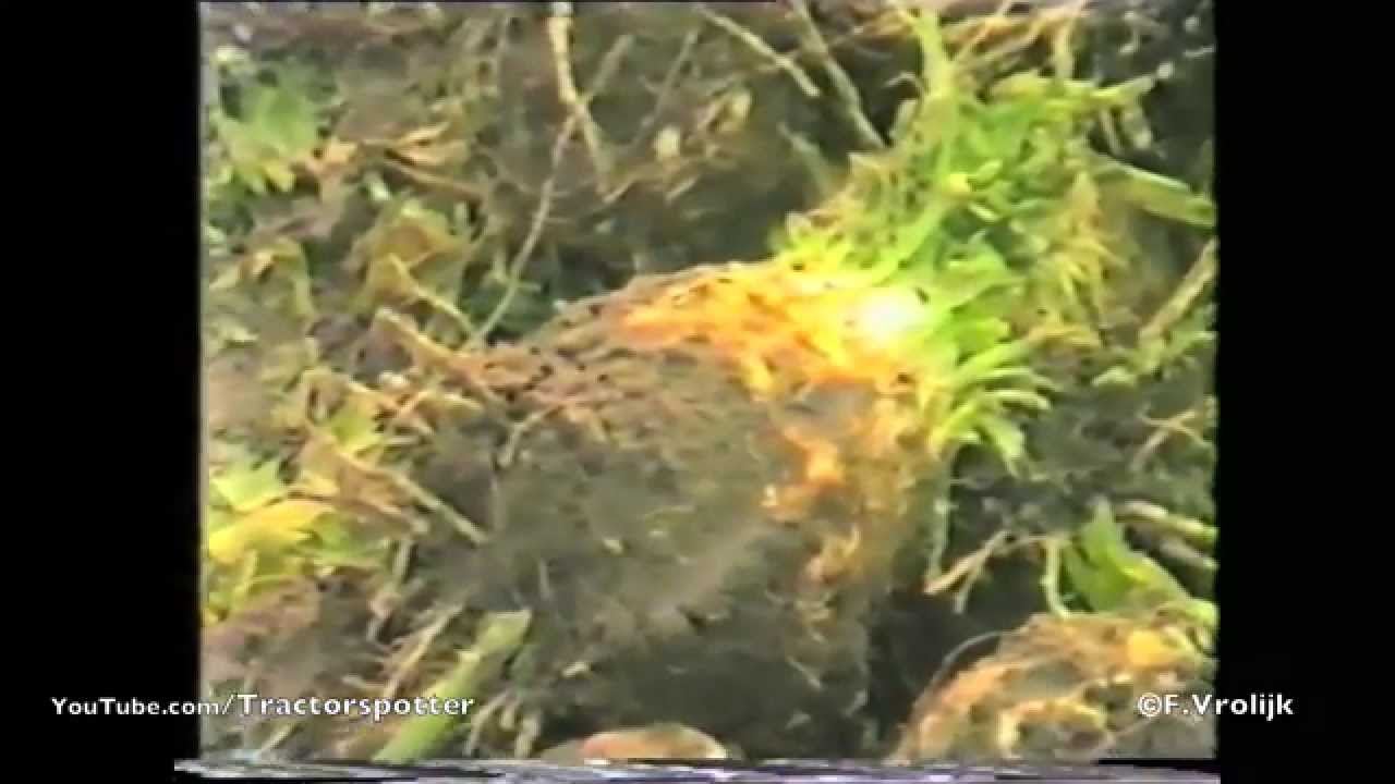 Drie decennia knolselderij rooien - 3 decades of harvesting celeriac @ Vrolijk Landbouw