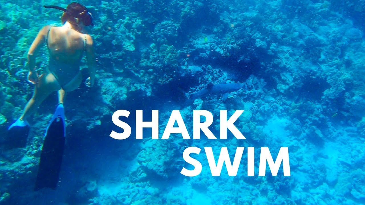 The Best Snorkeling on the Big Island, Hawaii (in our biased opinion)