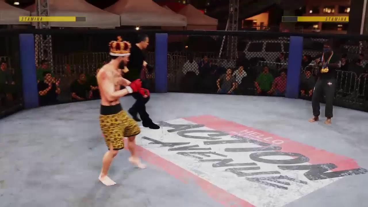 JoeyFlite1 Ufc4 player
