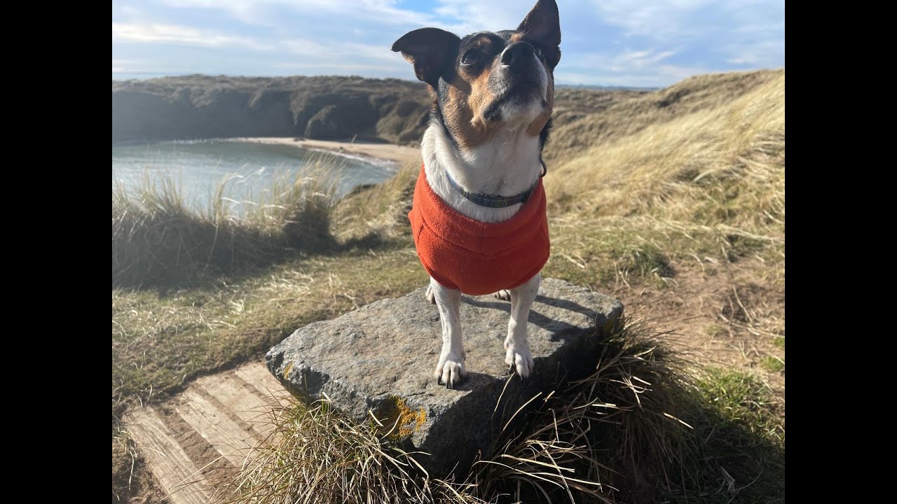 Forvie Nature Reserve to Hackley Bay
