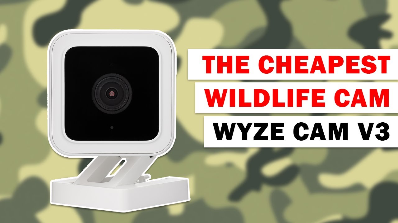 Is the Wyze Cam v3 the ULTIMATE WILDLIFE CAM?