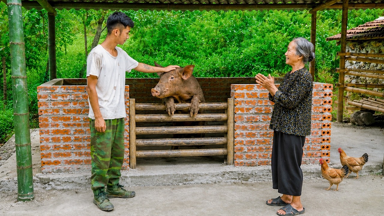 Successfully Taming a Wild Boar, The Reward After Many Days of Patience