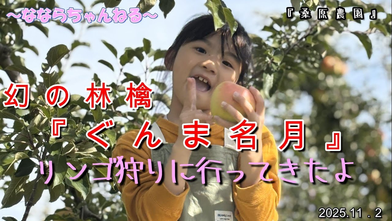 『ぐんま名月』リンゴ狩りに行ってきました。