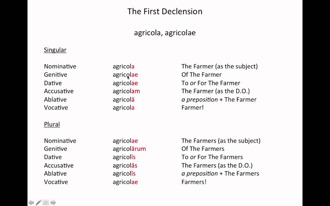 Latin Grammar - First Declension Nouns