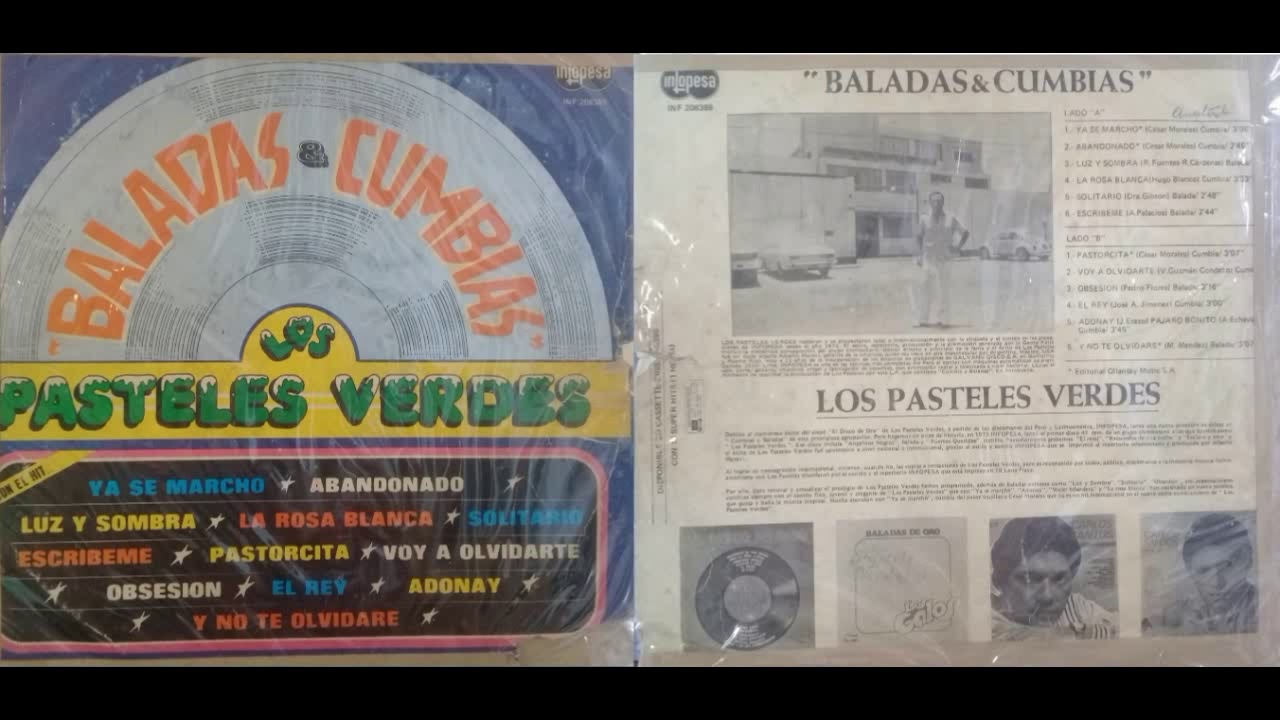 VOY A  OLVIDARTE - LOS PASTELES VERDES - CANTA: MARCO M. GUIBOVICH