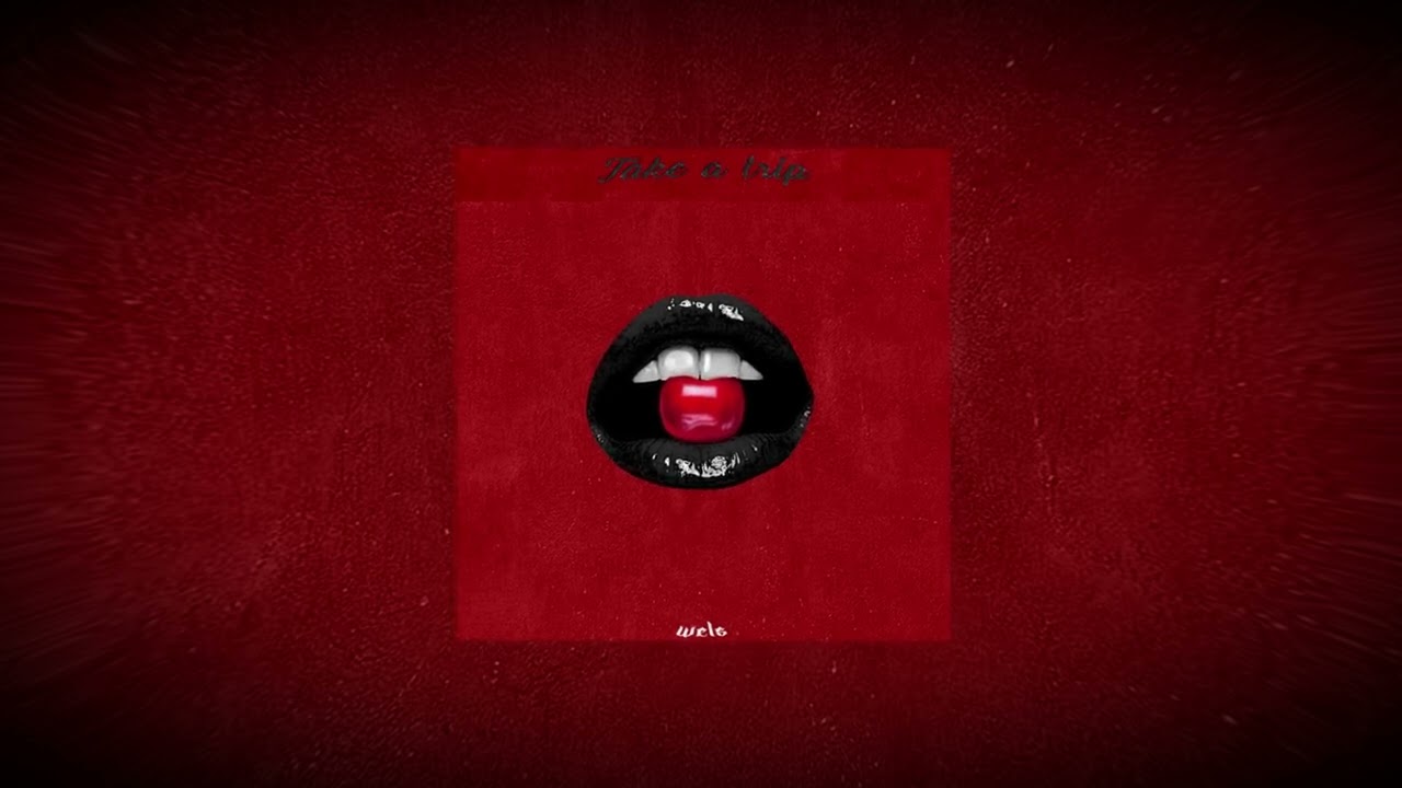 Wels - TAKE A TRIP