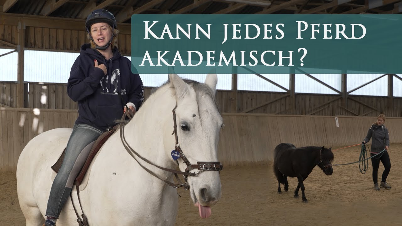 Kann denn wirklich jedes Pferd Reitkunst?