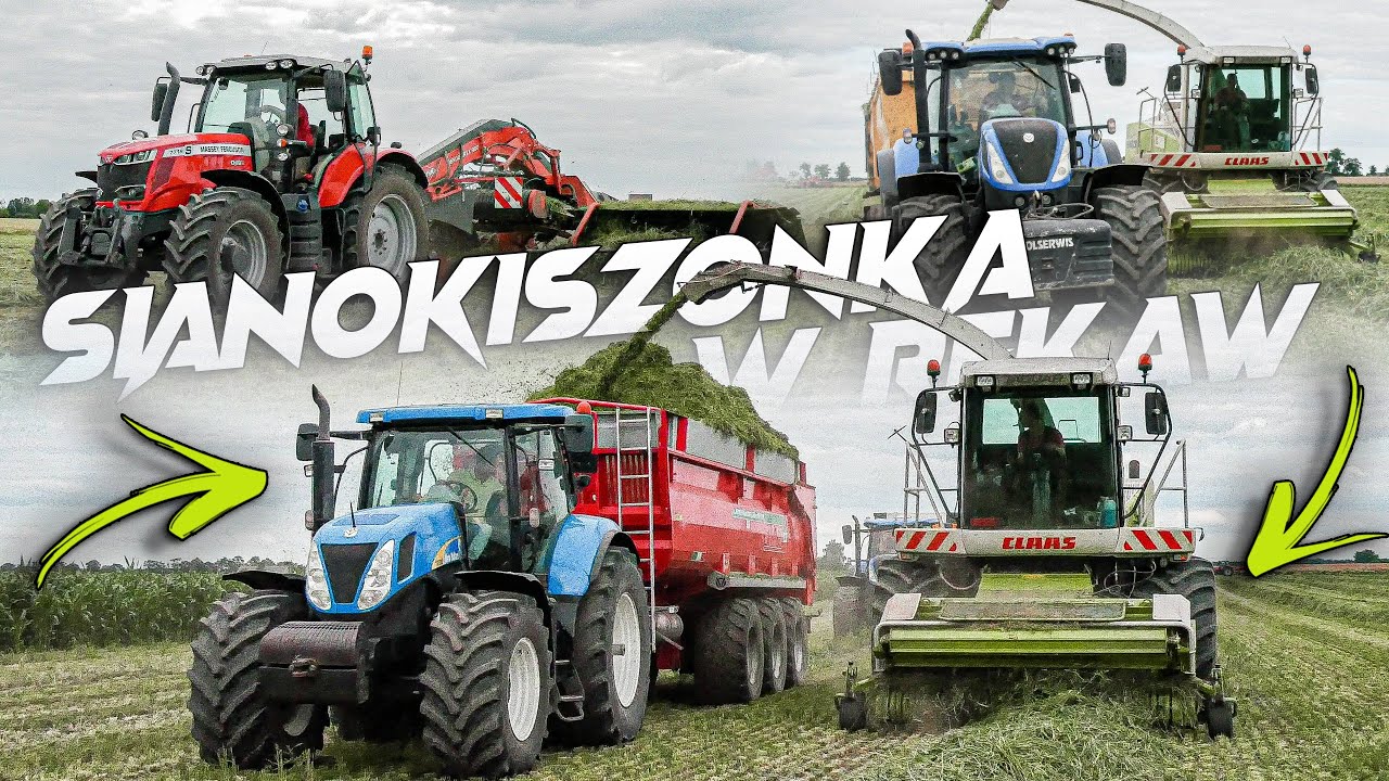 🇵🇱 Sianokiszonka w Rękaw 2024 ㋡ Najlepsza ekipa w okolicy ㋡ Claas Jaguar