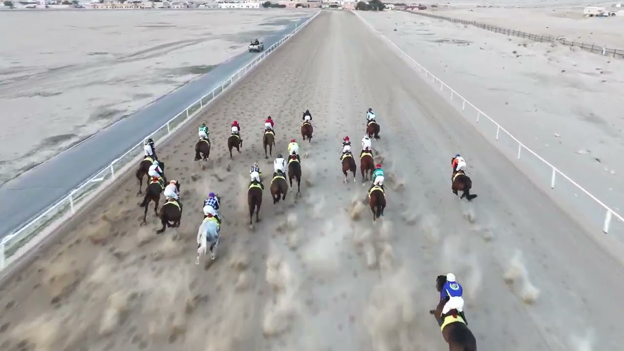 الأجتماع 13 الشوط 6 المركز الأول الجواد رفيق السعد اسطبل الرزحان