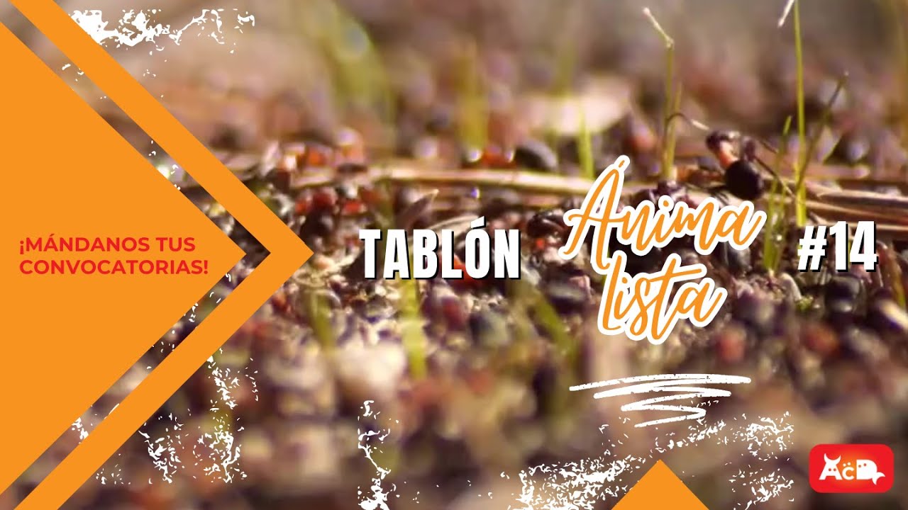 📢 &iexcl;TABL&Oacute;N ANIMALISTA #14 📢