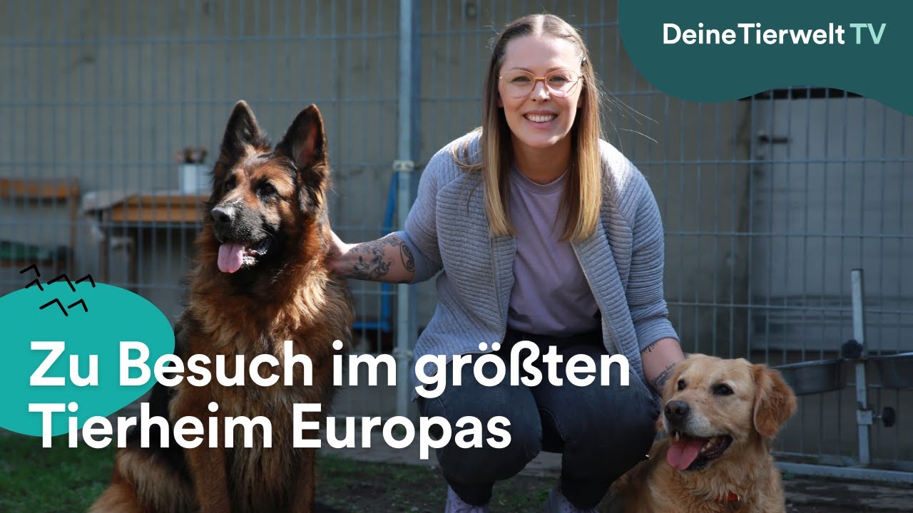 Leo zu Besuch im größten Tierheim Europas