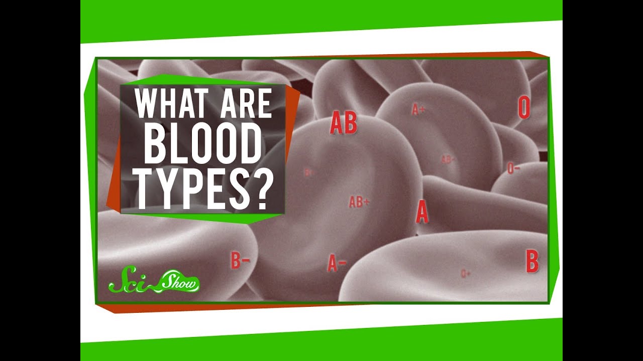 What are Blood Types?