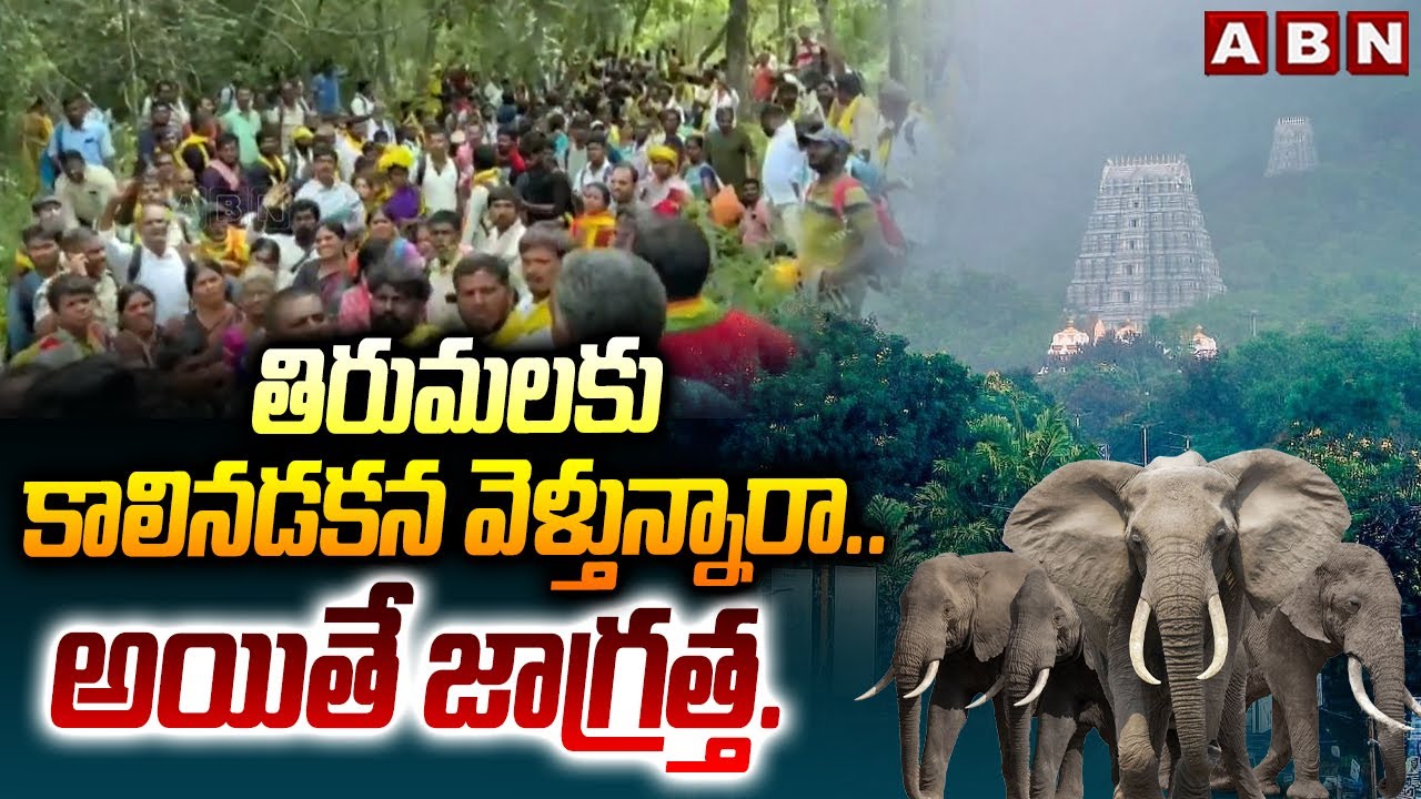తిరుమలకు కాలినడకన వెళ్తున్నారా..అయితే జాగ్రత్త..| Tirumala Tirupati Temple | ABN Telugu