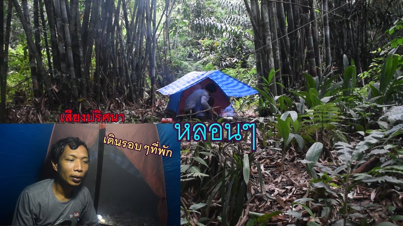 ค้างแรมในป่าดิบชื้น กลางดึก มีเสียงปริศนาเดินรอบๆแคมป์ หลอนๆ ep.37.haunted