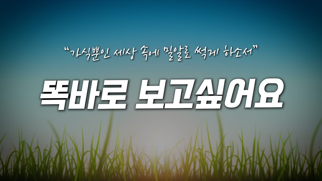 똑바로 보고싶어요 | 한국교회가 사랑하는 CCM | 1시간 반복 | 가사 첨부🎵
