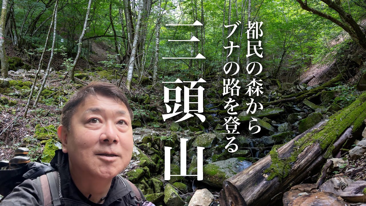 【三頭山　東京都檜原村】東京都のブナの森を登るハイキング