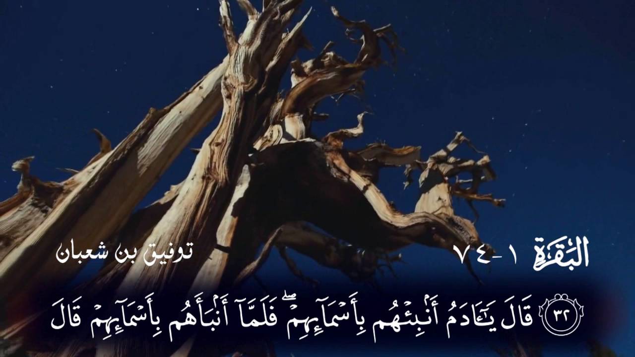 أجمل تسجيل للجزائري توفيق بن شعبان صوت وترتيل عجيب ؟