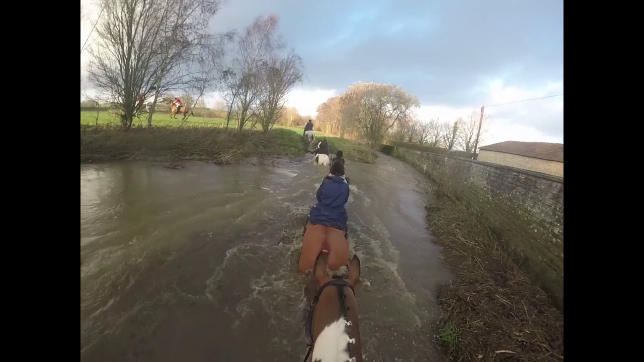 Taunton Vale Hunt - Hatch Court - 2018