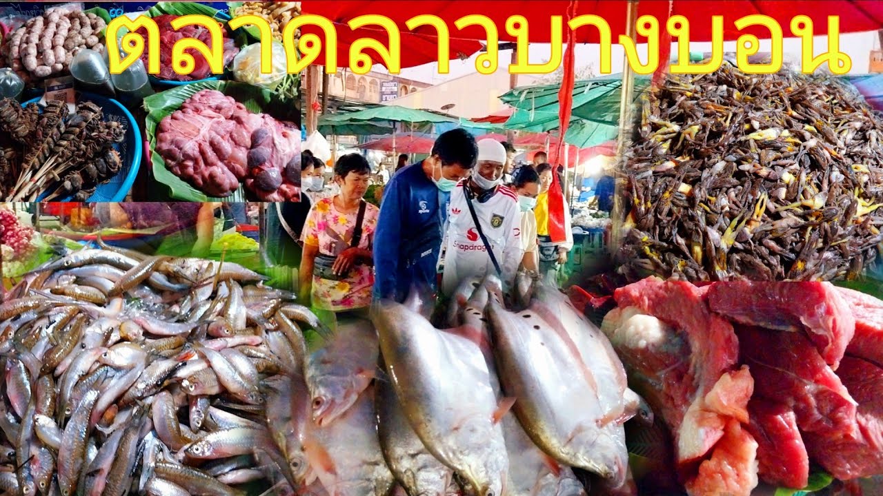 ตำนานอาหารป่าปลาแม่น้ำตามฤดูกาลตลาดลาวบางบอน18/1/69บรรยากาศช่วงหลังปีใหม่ของขายเยอะมาก