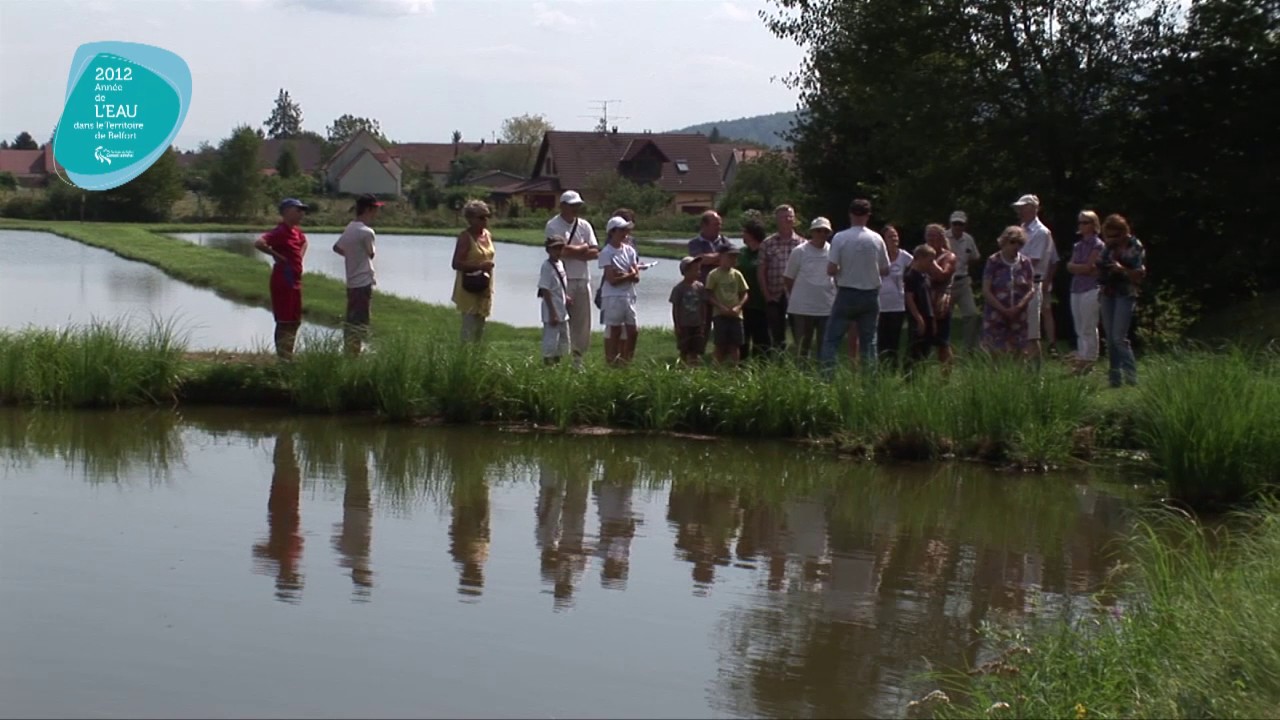 Uns pisciculture d'étangs
