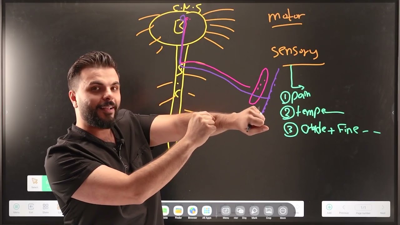 Lecture:7 Trigeminal Nerve P:1