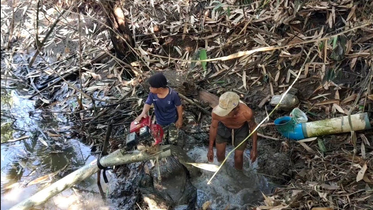 พ่อเฒ่ากับลูกเขย พากันสูบปลานาสวน