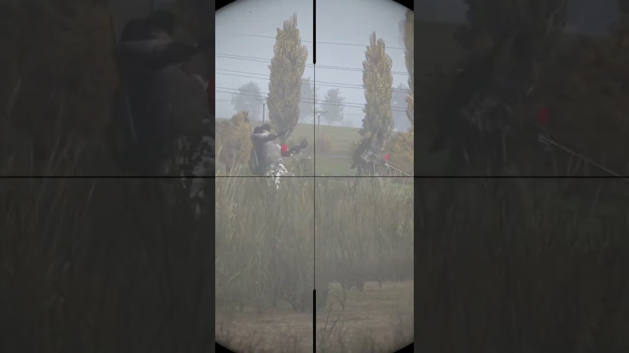 The Blaze is the BEST Sniper in DayZ #shorts