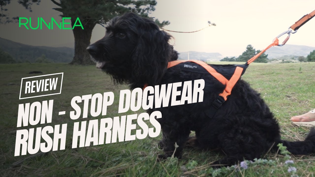 El nuevo arnés Non-stop Dogwear Rush Harness: Seguridad y confort en canicross para tí y tu perro
