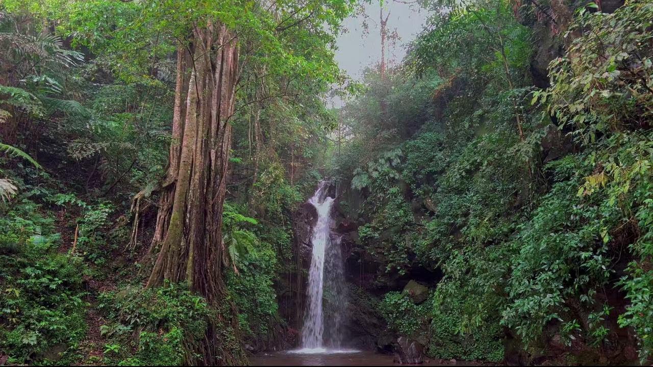 Relaxing Waterfall Nature Ambience for Sleeping | Natural Water Sounds for Stress Healing | 4K-HDR