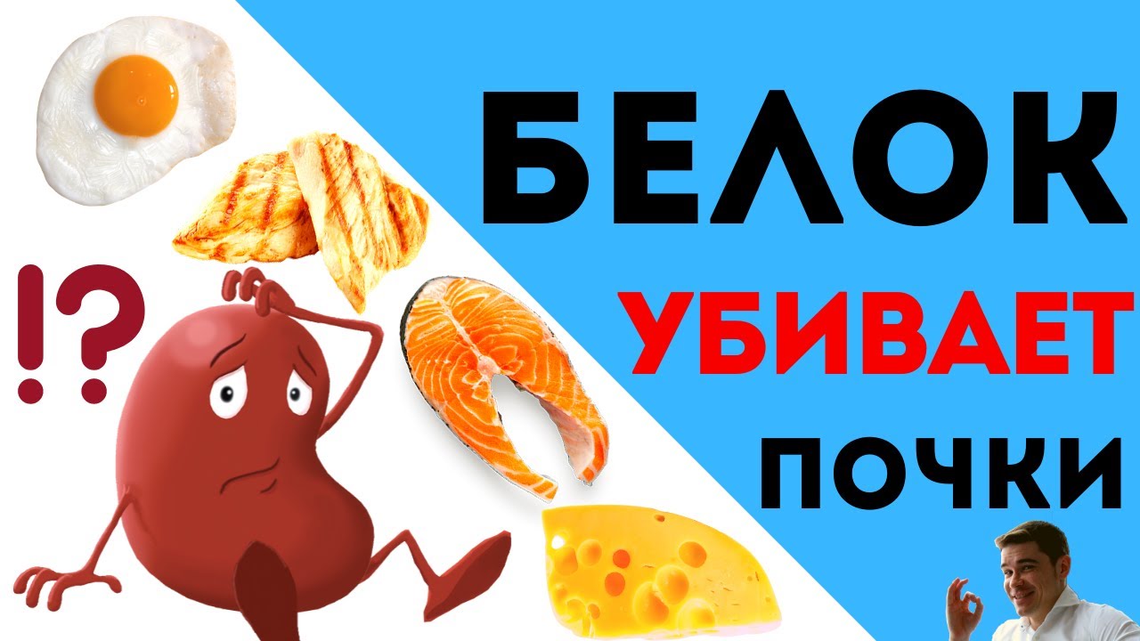 Безуглеводная диета и БЕЛОК УБИВАЕТ почки? Карнивор, Палео, Кето диета - сколько белка нужно в день?