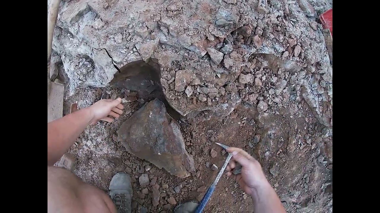Day 7: Small Fossil Finds Everywhere!