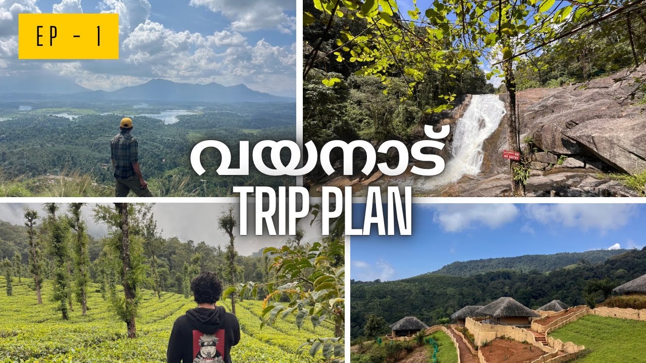 Wayanad Travel Plan | One day Trip ഒരു ദിവസം കൊണ്ട് കാണാൻ പറ്റുന്ന സ്ഥലങ്ങൾ #wayanad #wayanadtravel