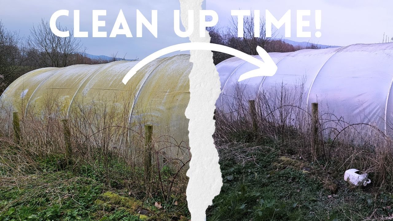 Polytunnel Clean Up!