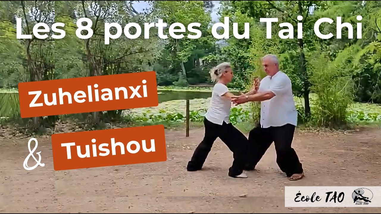 Les 8 portes du Tai Chi, Zuhelianxi et Tuishou, par Thierry Alibert 7ème Dan FFK