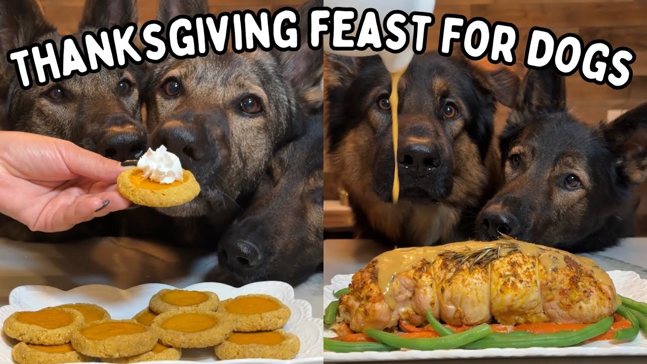 I Made a Thanksgiving Feast for My Dogs 🍗🦃 (Turducken Edition!)