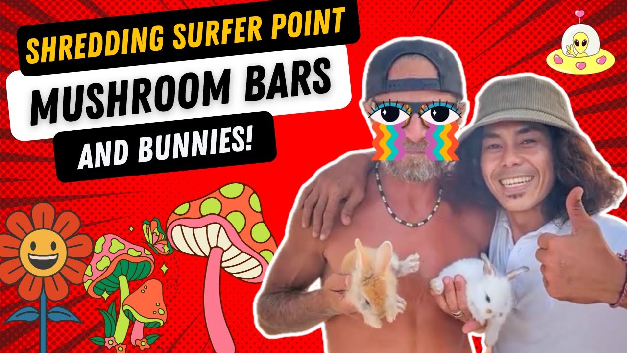 “Tripping” on GILI TRAWANGAN - BEST THINGS TO DO