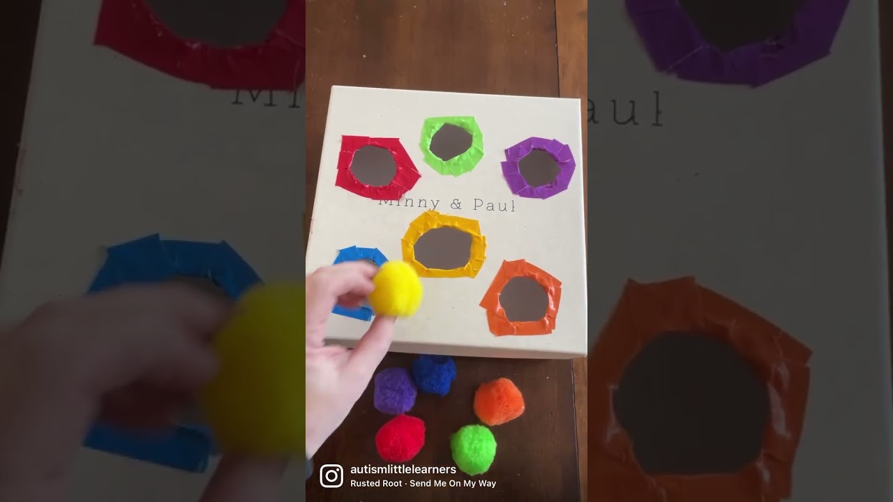 Structured Teaching DIY Activity