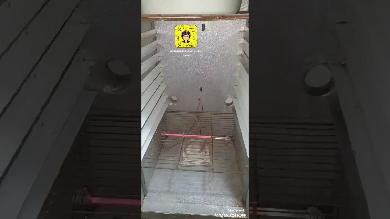 عصفور باليد ولا عشره فوق شجره
