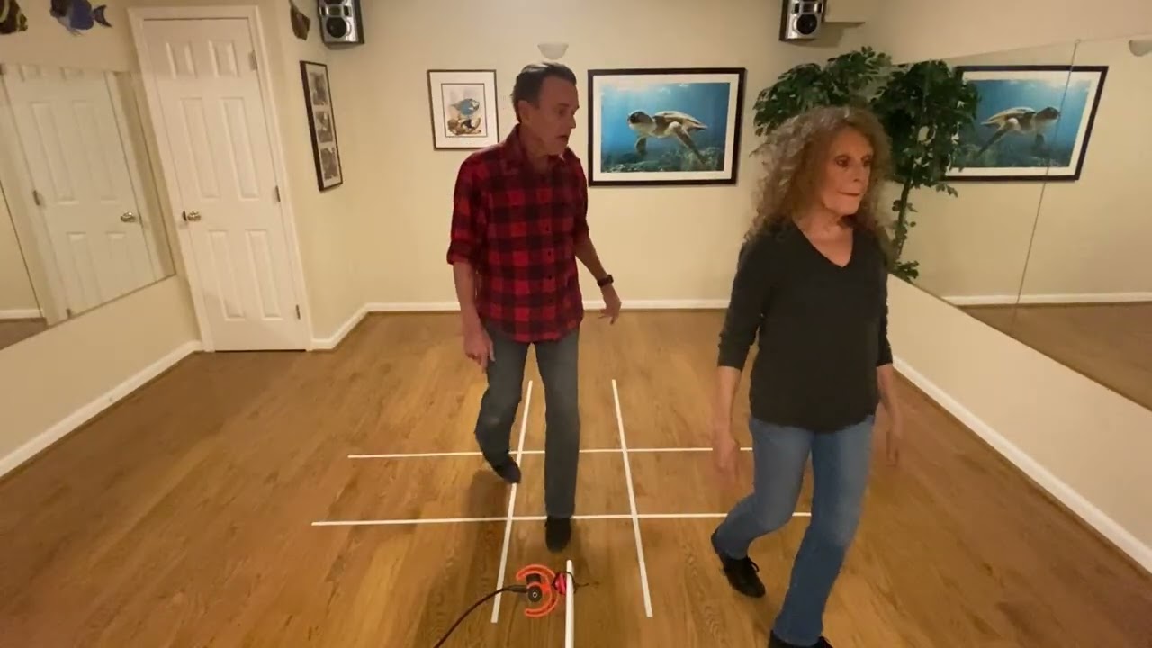 Got to Be Funky Line Dance Tutorial 