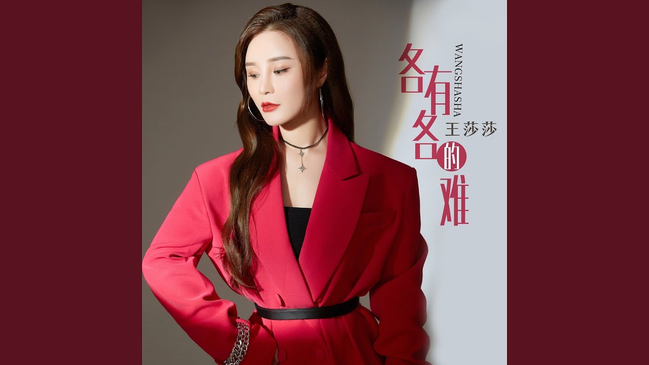 各有各的难 (Dj何鹏版)