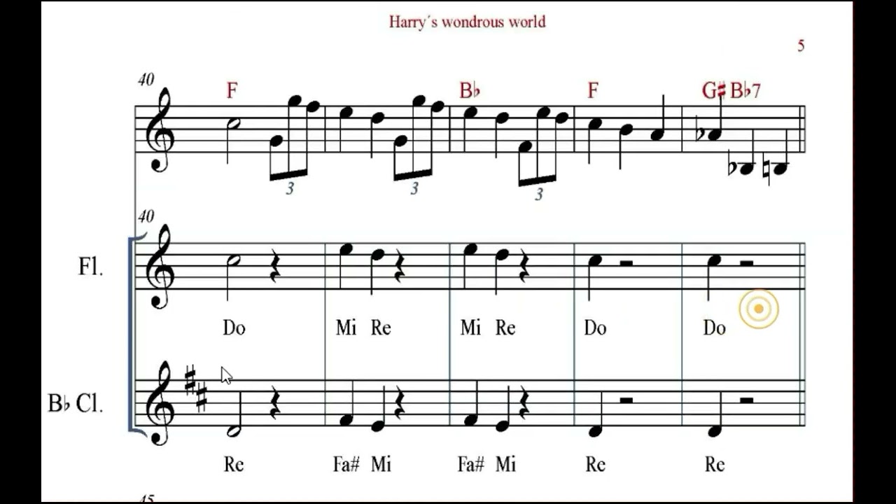 05 Harry´s wondrous world 2025 CYOISB