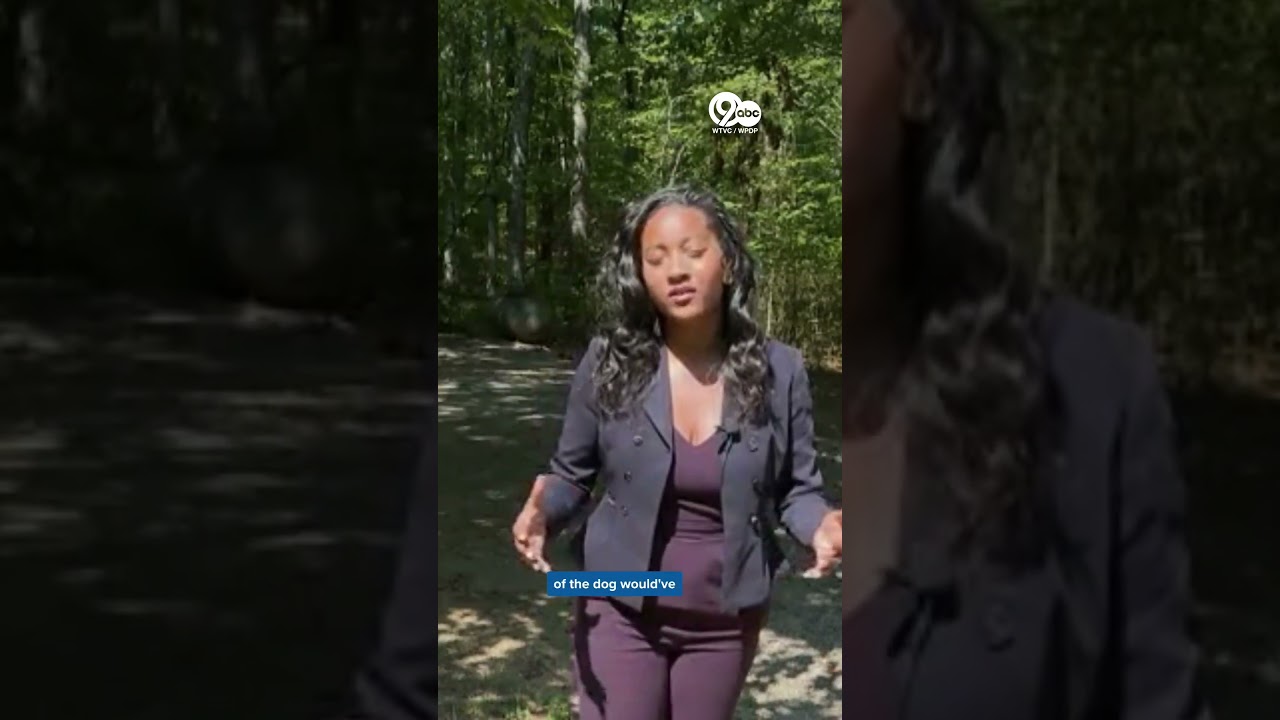 Caught on video: Dog abandoned on Georgia roadside sparks call for action