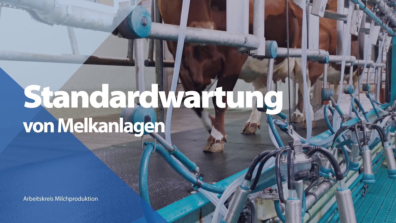 Standardwartung von Melkanlagen