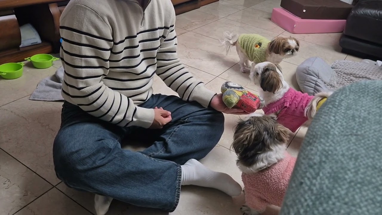 아싸! 큰오빠야 휴가나왔네