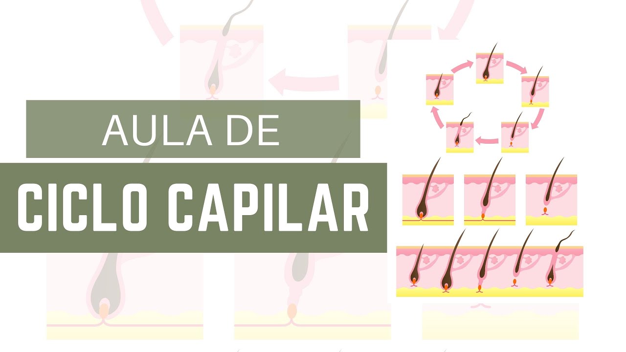 Ciclo Capilar Explicado! Entenda as Fases do Crescimento do Cabelo