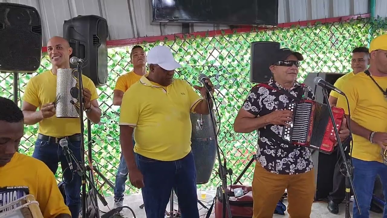 Los mejores gallos 🐓  el tigueraje típico 