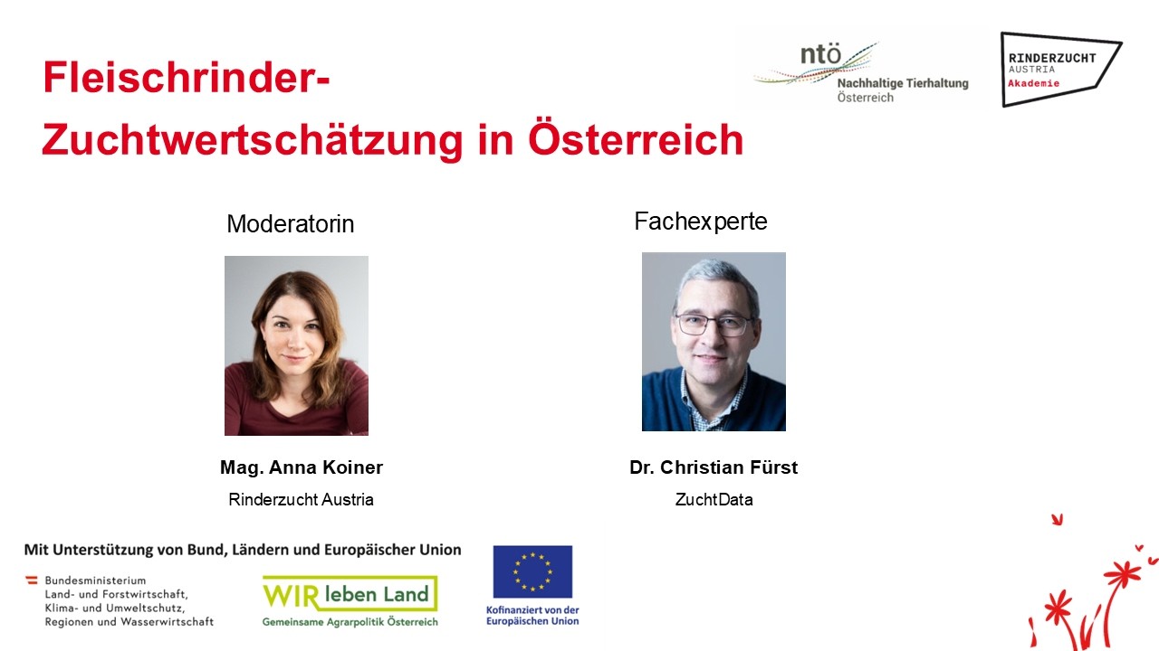 Webinar: Fleischrinder-Zuchtwertschätzung in Österreich