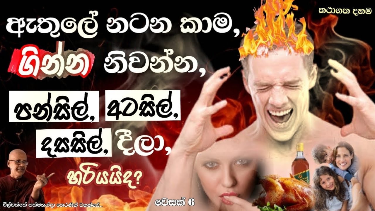 wilwaththe pathma theraniyo
